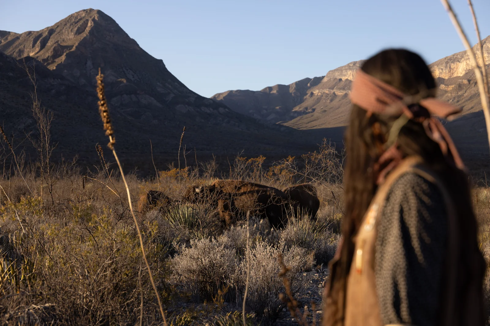 Una mujer de la Nación Ndé observa a los bisontes en El Santuario, con la sierra al fondo